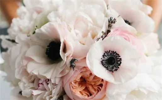 陶白白摩羯座和水瓶座般配吗_陶白白摩羯配对星座