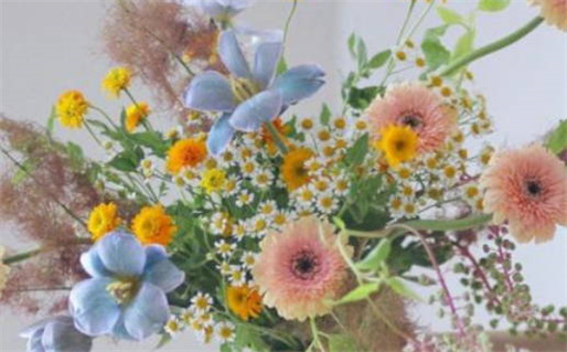 生肖鼠与虎相配吗深入分析与解读