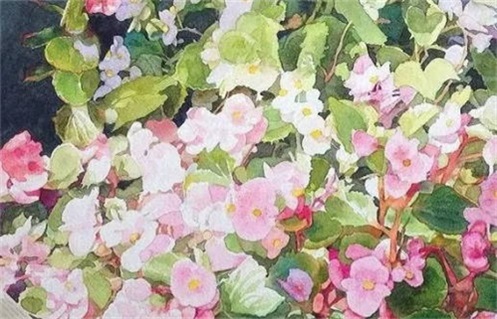 2026年02月23日动土黄历查询